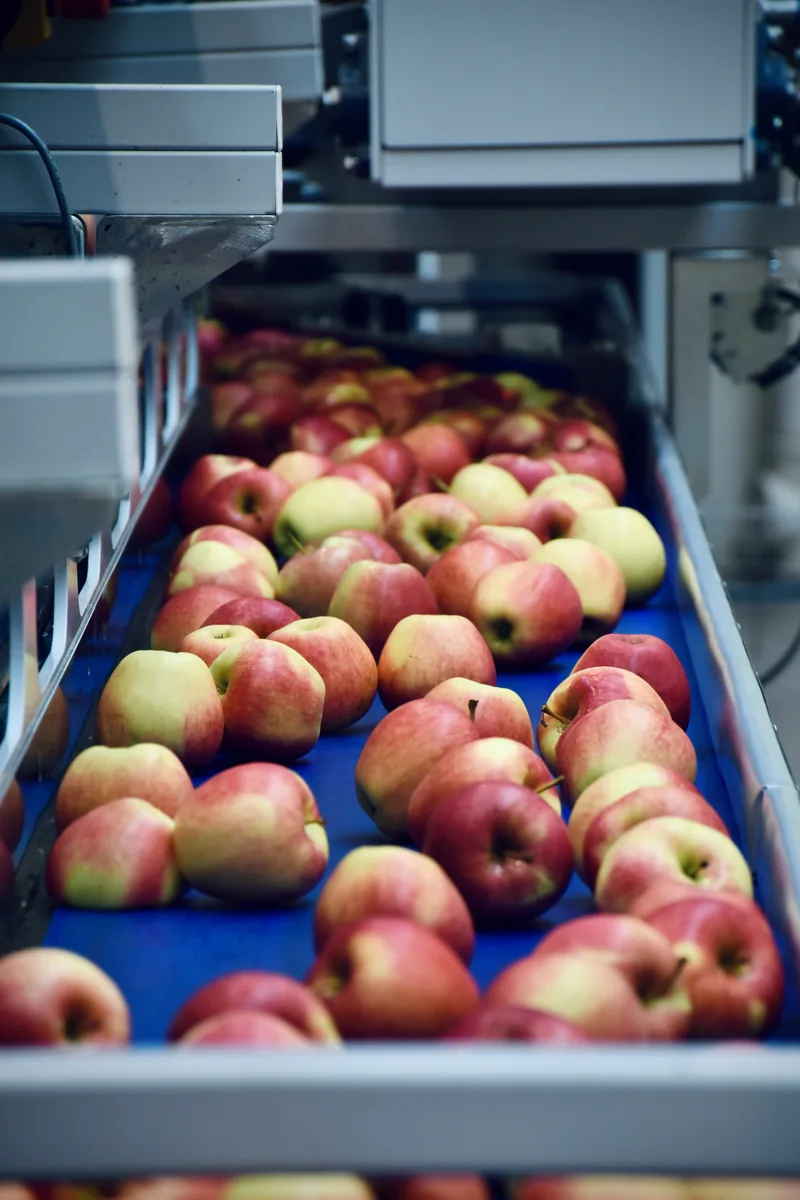 Boxes of fresh produce in a cash & carry — AGF sector